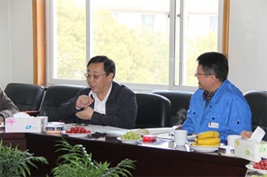 2013年3月18日，时任国家工信部节能司副司长杨铁生一行莅临公司参观指导